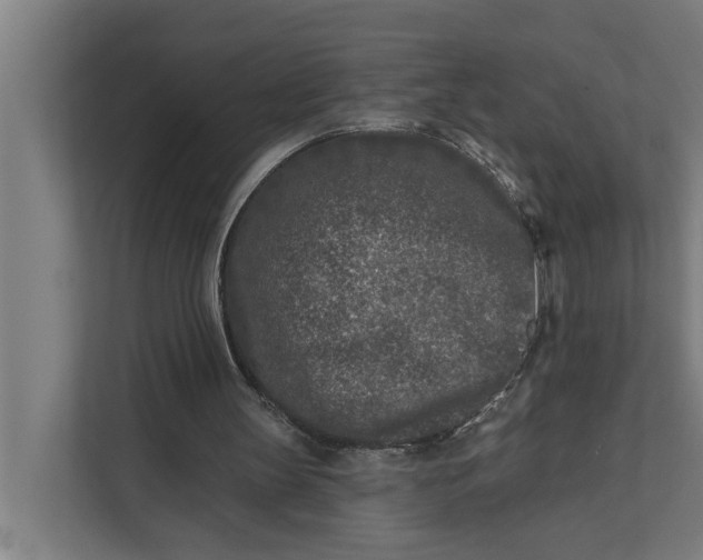 X0000112180147200908211507