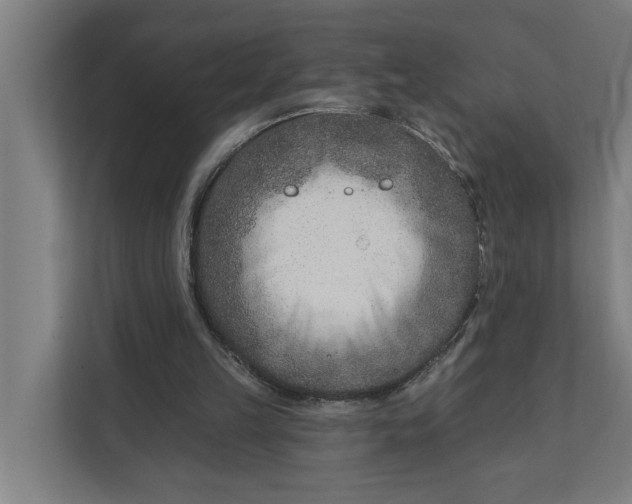 X0000112180149200908211507