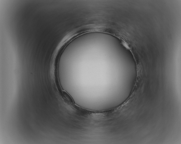 X0000112180150200908211507