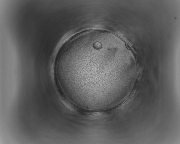 X0000112180151200908211507