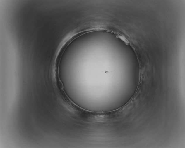 X0000112180152200908211507