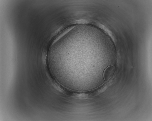 X0000112180153200908211507