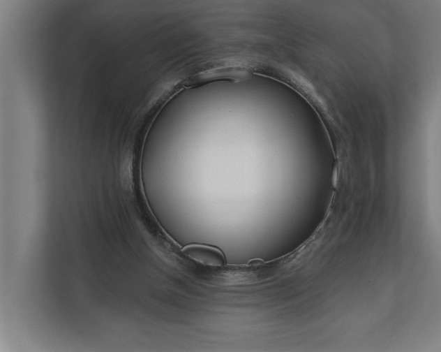 X0000112180154200908211507