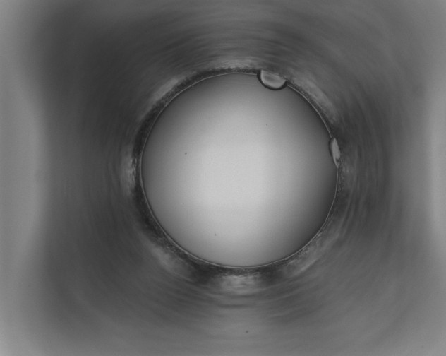 X0000112180160200908211507