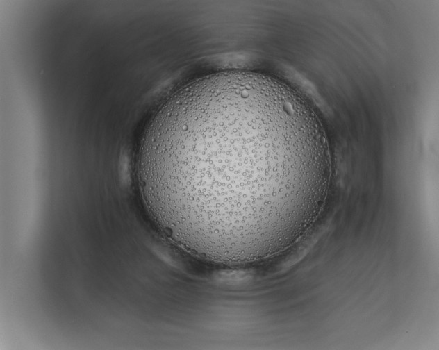 X0000112180161200908211507