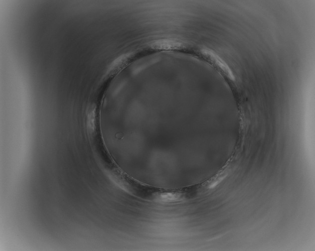 X0000112180163200908211507