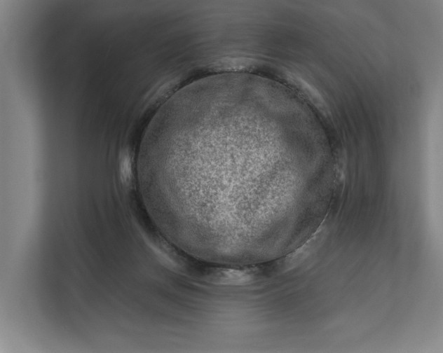 X0000112180166200908211507