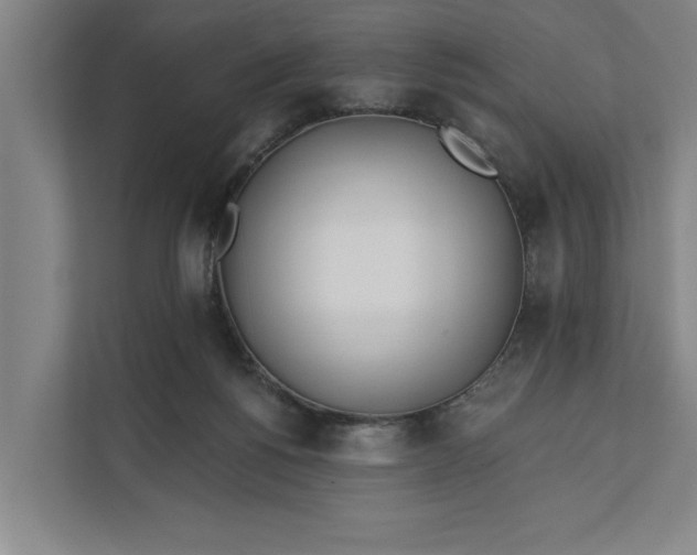 X0000112180168200908211507