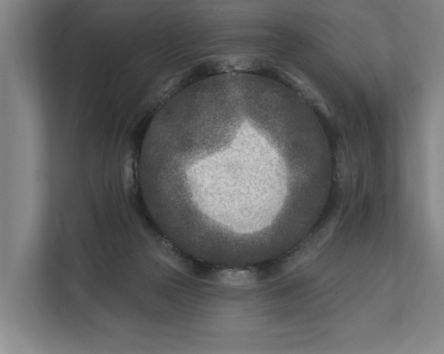 X0000112180169200908211507