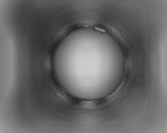 X0000112180170200908211507