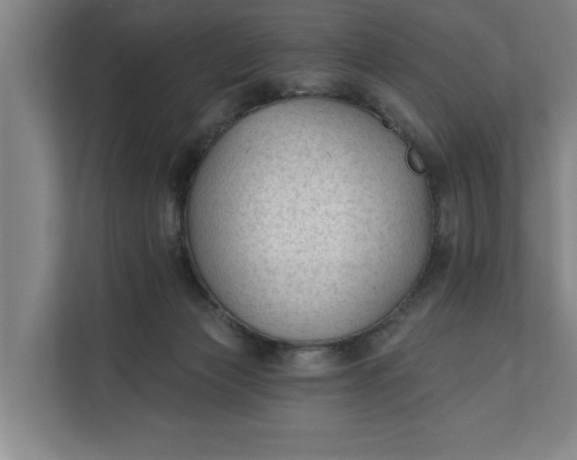 X0000112180173200908211507