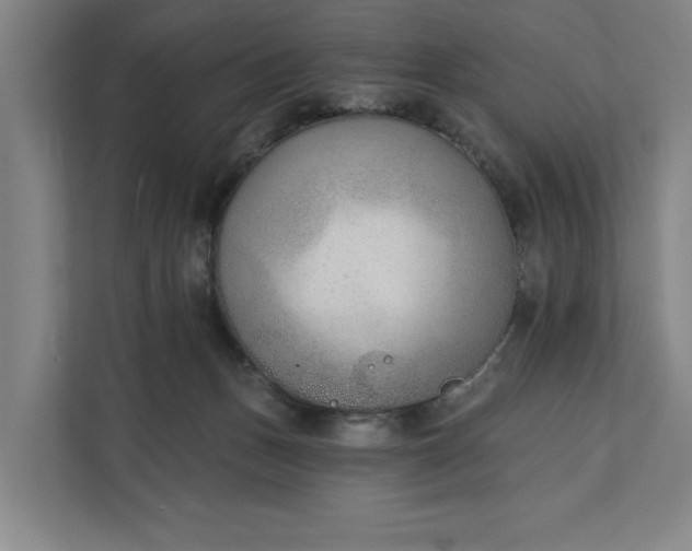 X0000112180175200908211507