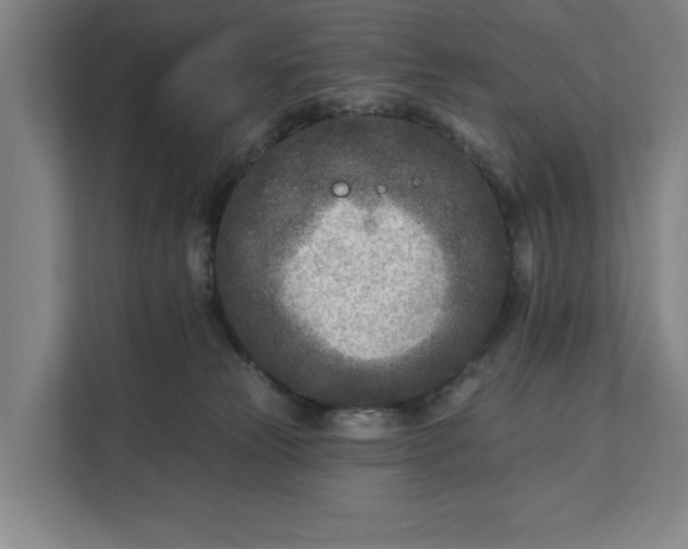 X0000112180181200908211507