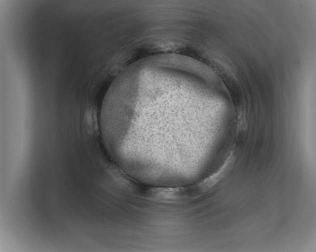 X0000112180182200908211507