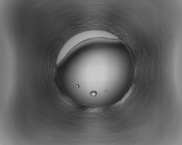 X0000112180186200908211507