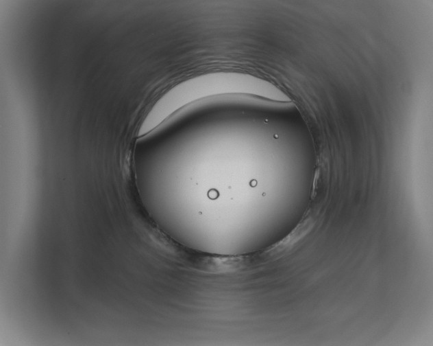 X0000112180188200908211507