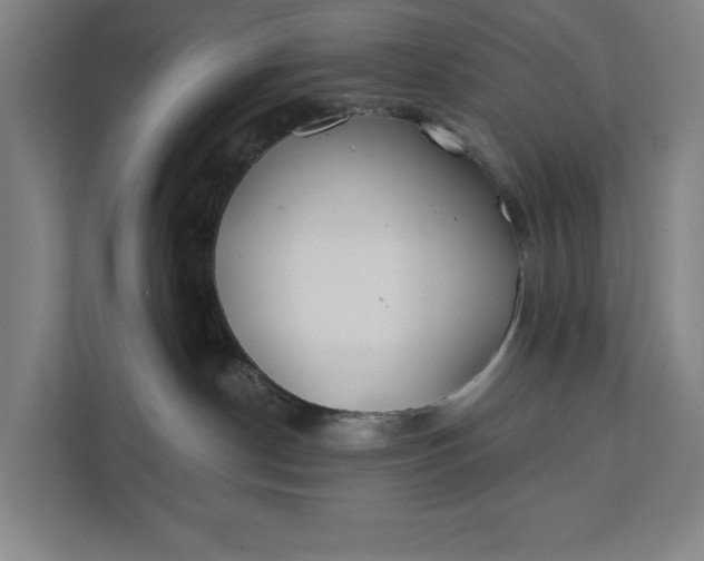 X0000112180190200908211507