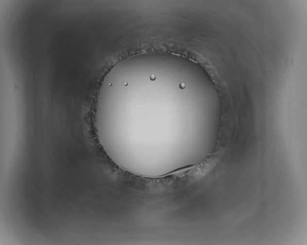 X0000112180192200908211507