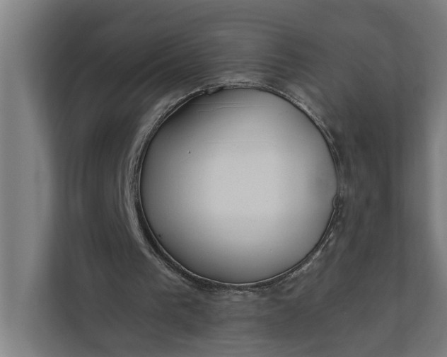 X0000112180193200908211507