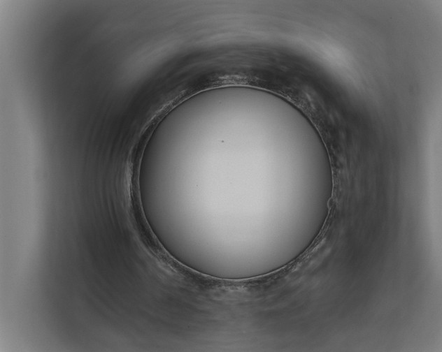 X0000112180194200908211507