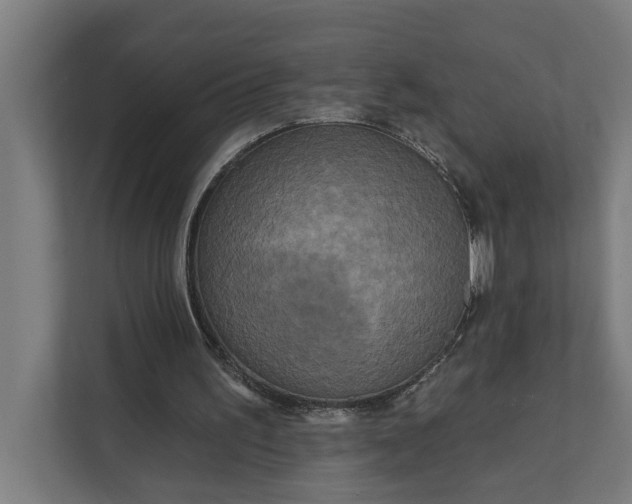 X0000112180195200908211507