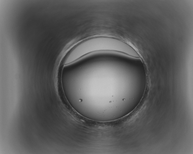 X0000112180199200908211507