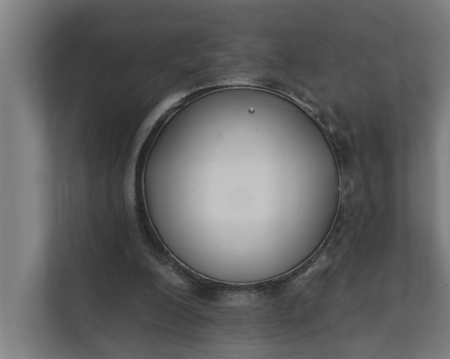 X0000112180200200908211507