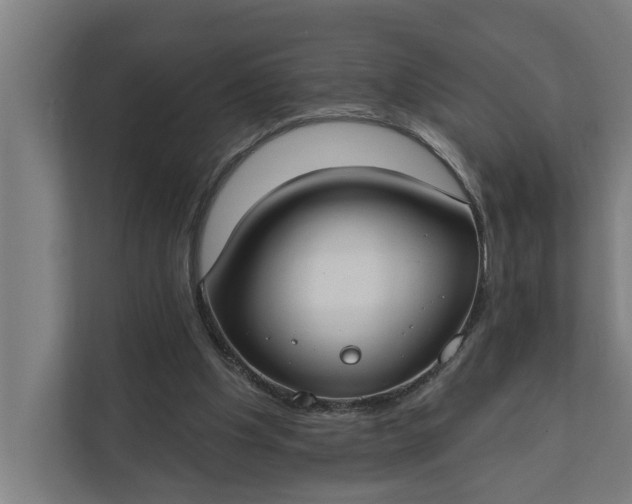 X0000112180201200908211507