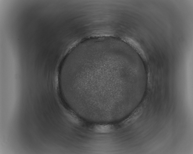 X0000112180202200908211507