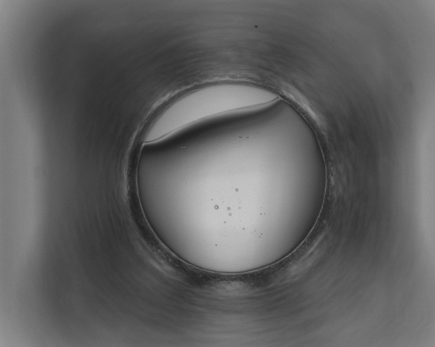 X0000112180203200908211507