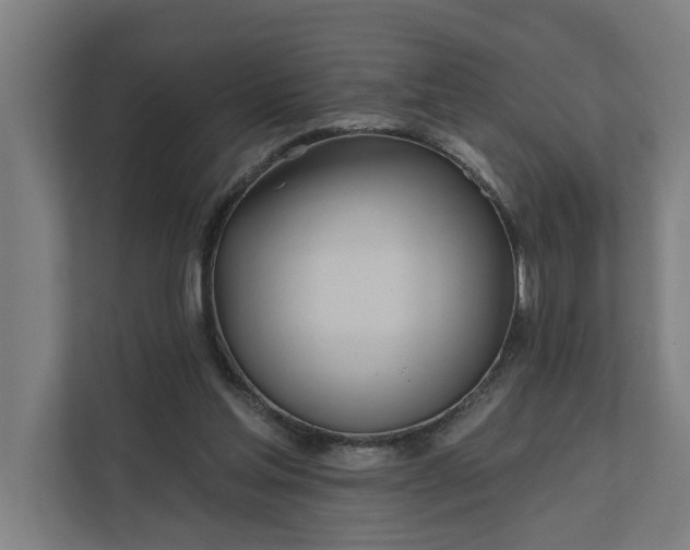 X0000112180205200908211506