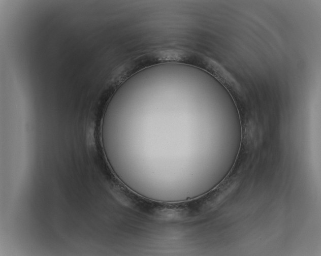 X0000112180209200908211506