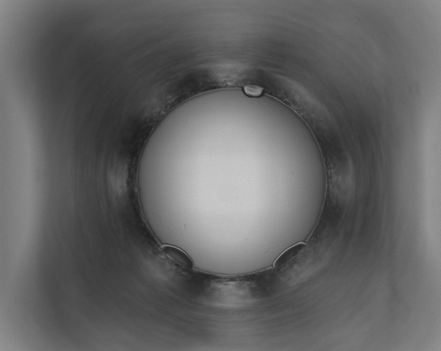 X0000112180221200908211506