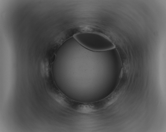 X0000112180223200908211506