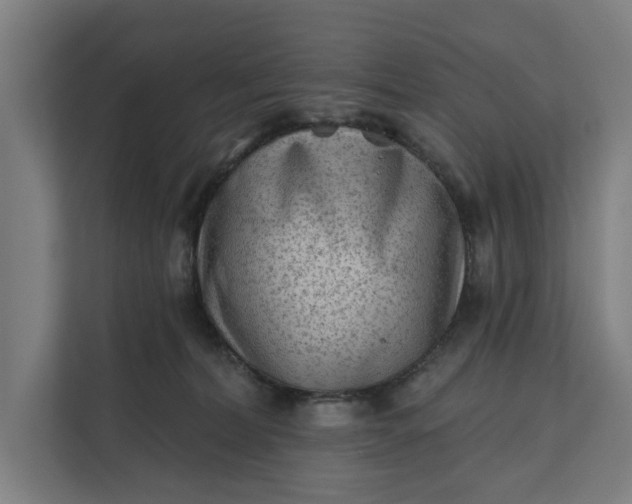 X0000112180228200908211506