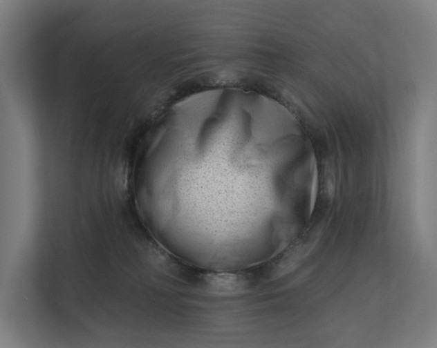 X0000112180230200908211506