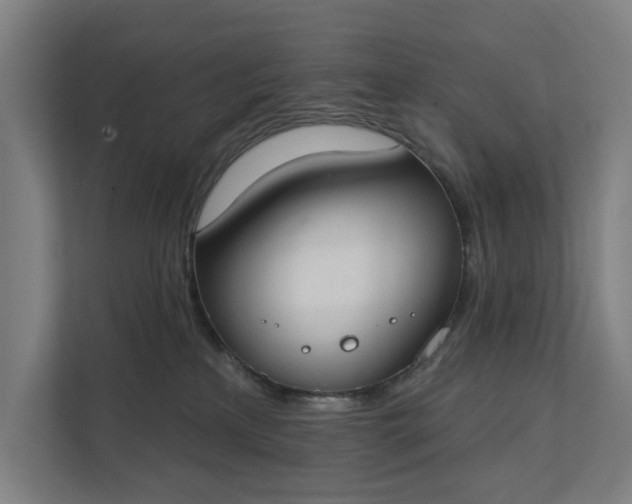 X0000112180233200908211506