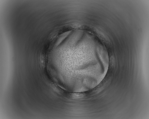 X0000112180234200908211506