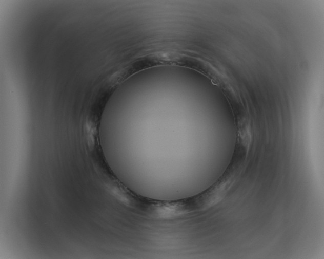 X0000112180235200908211506