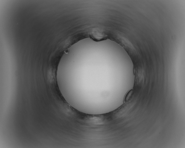 X0000112180236200908211506