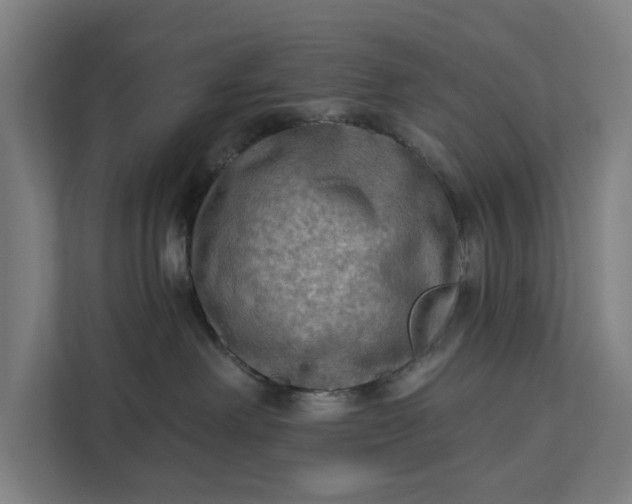 X0000112180238200908211506