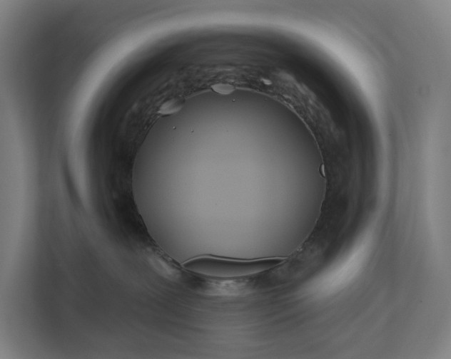 X0000112180239200908211506