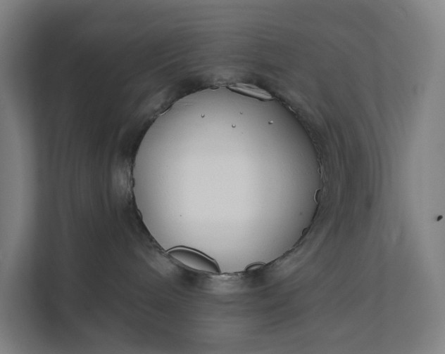 X0000112180240200908211506