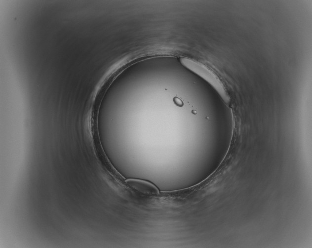 X0000112180244200908211505