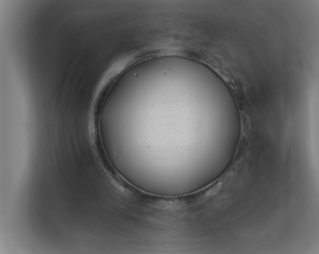 X0000112180245200908211505