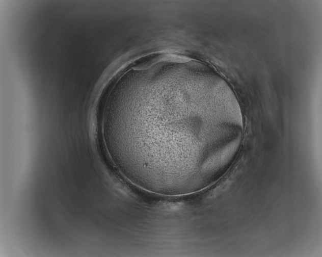 X0000112180247200908211505