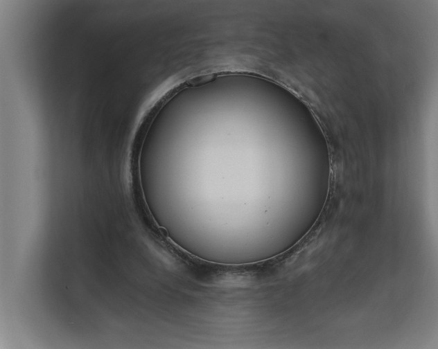 X0000112180248200908211505