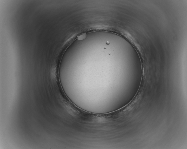 X0000112180249200908211506