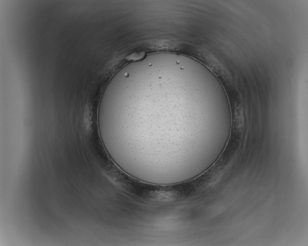 X0000112180255200908211506