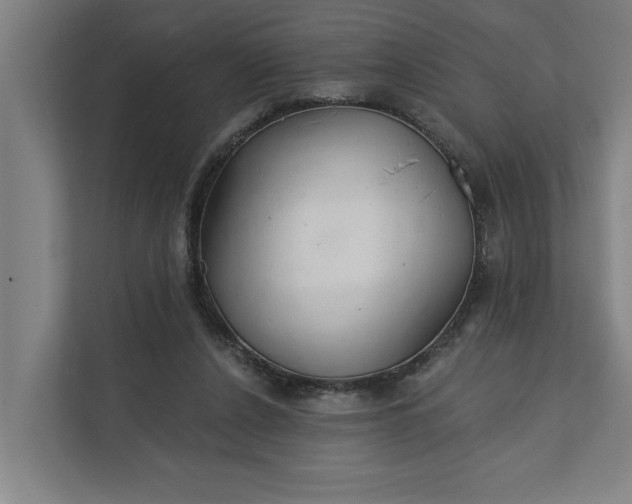 X0000112180256200908211506